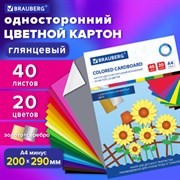 Картон цветной А4 МЕЛОВАННЫЙ ВОЛШЕБНЫЙ EXTRA, 40 листов, 20 цветов, в папке, BRAUBERG, 200х290 мм, 113545