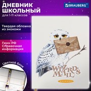 Дневник 1-11 класс 48 л., кожзам (твердая с поролоном), печать, цветной блок, BRAUBERG, "Сова", 106952