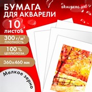 Бумага для акварели 300 г/м2 360x460 мм мелкое зерно, 10 листов, BRAUBERG ART PREMIERE, 113227