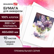 Бумага для акварели ХЛОПОК 100%, 300 г/м2, 460x660 мм, среднее зерно, 10 листов, BRAUBERG ART, "PREMIERE", 113231