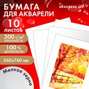 Бумага для акварели 300 г/м2 560x760 мм мелкое зерно, 10 листов, BRAUBERG ART PREMIERE, 113237