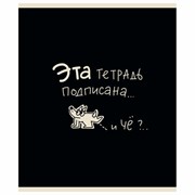 Тетрадь А5 48 л. ПЗБМ, скоба, клетка, матовая ламинация, брайль, "Тетрадь подписана" (микс в ПУ), 23447