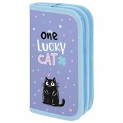Пенал ПИФАГОР, 2 отделения, ламинированный картон, 19х11 см, "Funny cats", 273481