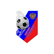 Пятиугольный вымпел Skyway Верим в победу