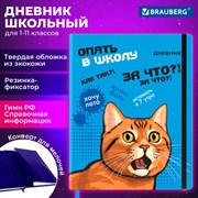 Дневник 1-11 класс 48 л., кожзам (твердая), печать, резинка, конверт, BRAUBERG, "Опять в школу", 107231