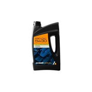 Универсальное синтетическое энергосберегающее моторное масло XENUM PRO DX1 5W30