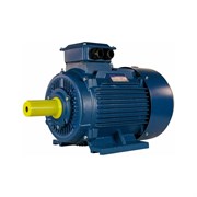 Электродвигатель 5АИ 180 М4 30/1500 IM 1001