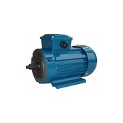 Электродвигатель 5АИ 63 А2 FT100 0.37/3000 IM 2181