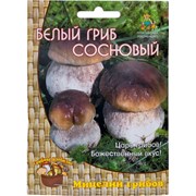 Мицелий Агрохолдинг ПОИСК Белый гриб сосновый