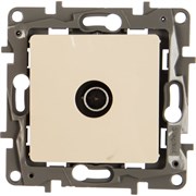 TV розетка Legrand Etika