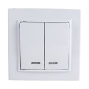 Двухклавишный выключатель Stekker PSW10-9002-01 Эрна