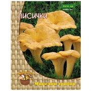 Мицелий Агрохолдинг ПОИСК Лисички