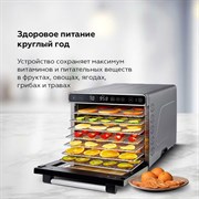 Сушилка для овощей и фруктов BQ FD1007