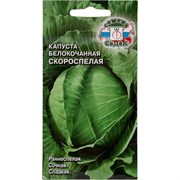 Капуста СеДек Скороспелая белокочанная, раннеспелая, округлая, 0.9-1.3 кг, евро, 0.5 г