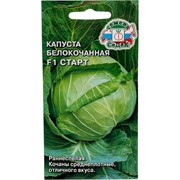 Семена СеДек I0000002355