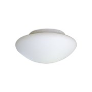 Светодиодный светильник ЭЛЕТЕХ полусфера е 235 led 10