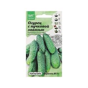 Семена Агросидстрейд АСТ