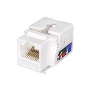 Модуль Keystone SUPRLAN 10-0313