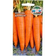 Морковь СеДек Дуняша (ран.спел.,конич.,ярк.-оранж.,14-16 см.,60-100 г.). Евро, 2
