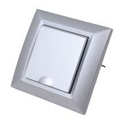 Розетка Vesta Electric Roma Silver