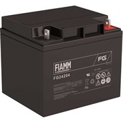 Аккумуляторная батарея FIAMM FG24204