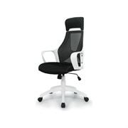 Кресло Easy Chair BNHgEChair-578 TC
