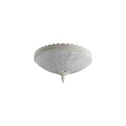 Потолочный светильник Arte Lamp A4541PL-3WG