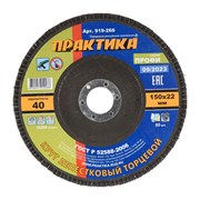 Шлифовальный лепестковый круг ПРАКТИКА 919-266