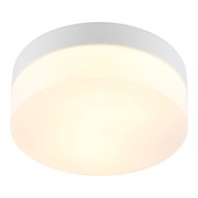 Потолочный светильник Arte Lamp A6047PL-1WH