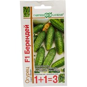 Семена ГАВРИШ 1+1