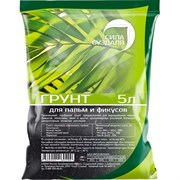 Грунт Сила Суздаля Пальмы и фикусы