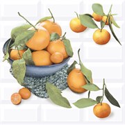 Панно Azori Ceramica 40.5x40.2 см, vogue citrus 2