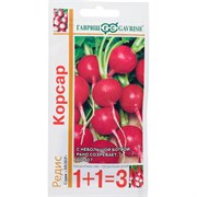 Семена ГАВРИШ Редис Корсар 1+1