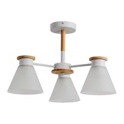 Потолочная люстра Arte Lamp TYLER