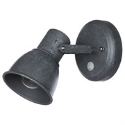Настенный светильник Arte Lamp A1677AP-1GY
