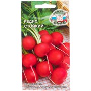 Редис СеДек Стойкий раннеспелый, ОГ, округлый, красно-малиновый/белый, полуострый, 15-30 г, евро, 3 г