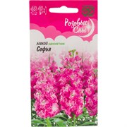 Семена ГАВРИШ Розовые сны