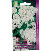 Семена Агрохолдинг ПОИСК 520810