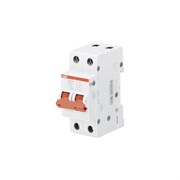 Двухполюсной рубильник ABB SD202/63