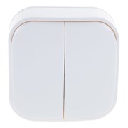 Двухклавишный выключатель IONICH 1413