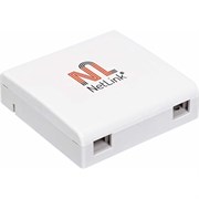 Абонентская оптическая розетка Netlink RS-01