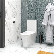 Напольный безободковый унитаз Teymi Ellie T40801