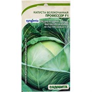Семена Садовита Syngenta