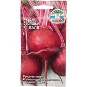 Семена СеДек 16352