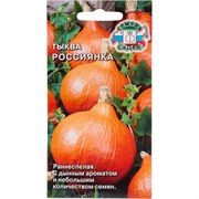 Тыква СеДек Россиянка (ран.спел.,крупноплодн.,чалмовидн.,оранж./ярк.оранж.,1,5-2 кг.). Евро, 2
