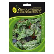 Семена ELITE PLANT-BREEDING & SEED PRODUCTION Co. ЭС