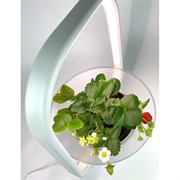 Настольная садовая ферма Vegebox V-Basket