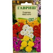 Семена ГАВРИШ 1071857500