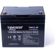 Тяговая аккумуляторная батарея EVEREST Energy Energy