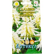Семена сальвия сверкающая Артикул Нимфа